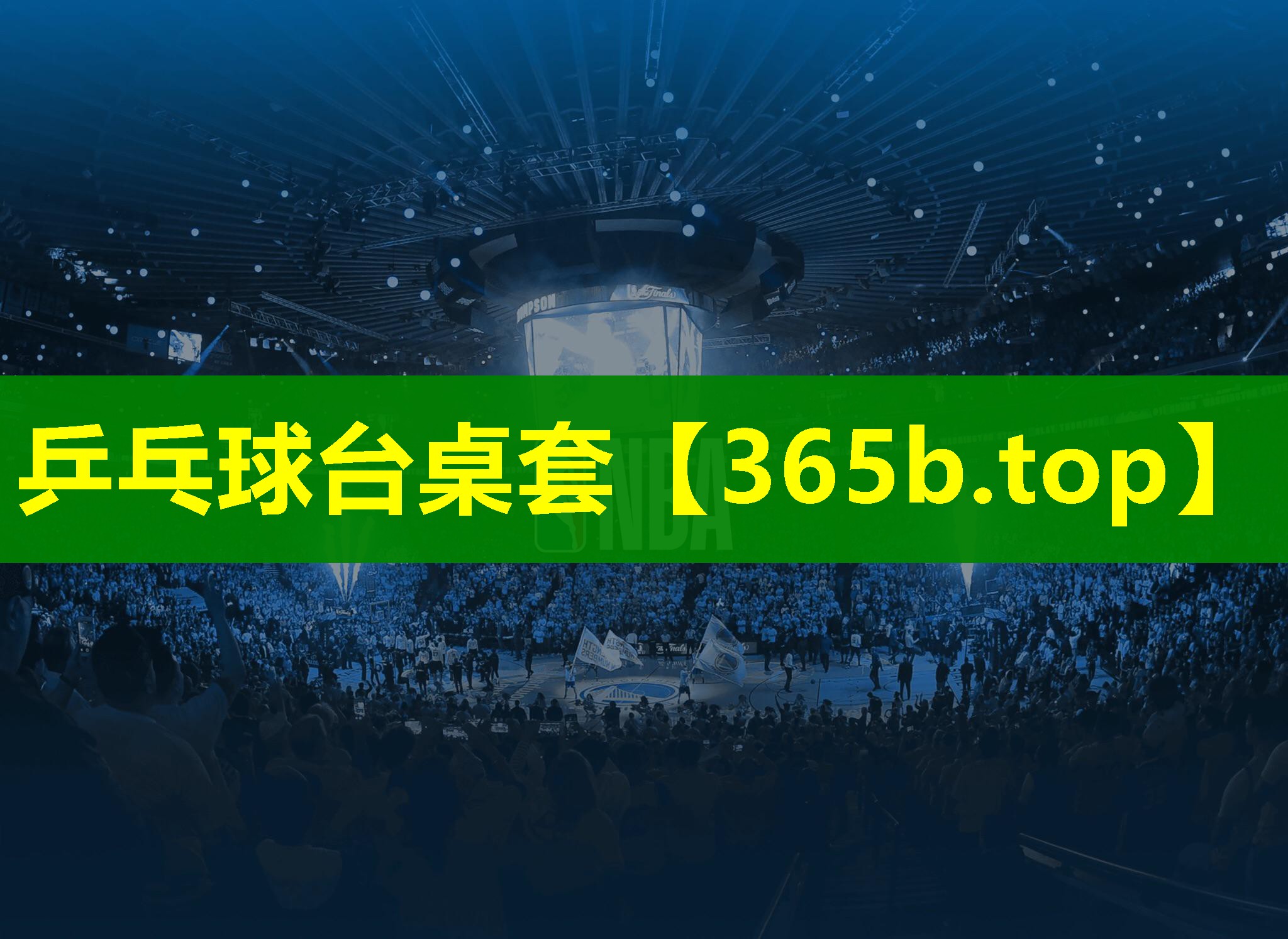 乒乓球台桌套 乒乓球台桌套