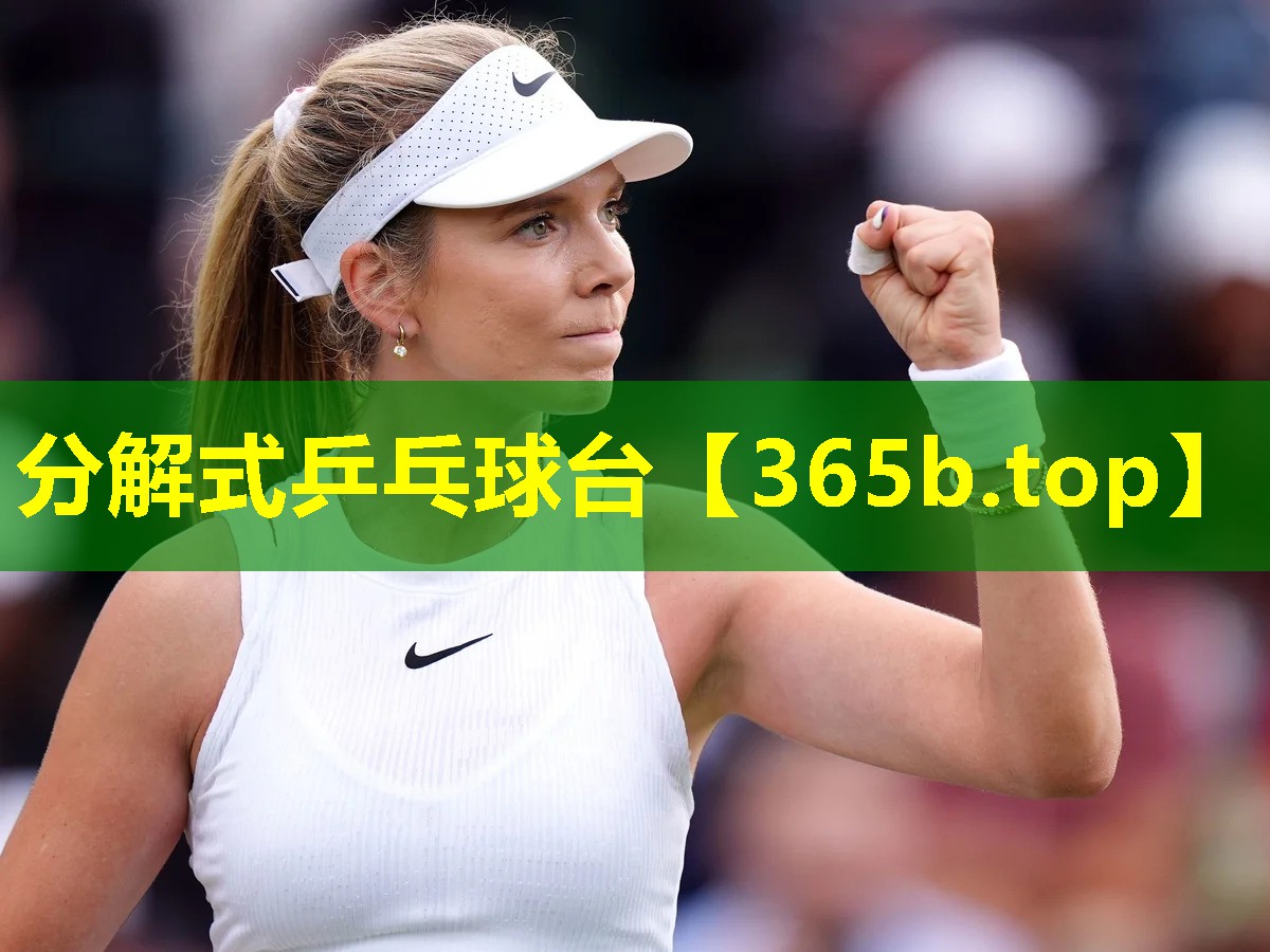 分解式乒乓球台 分解式乒乓球台