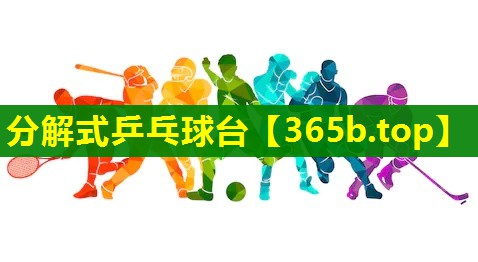 分解式乒乓球台 分解式乒乓球台