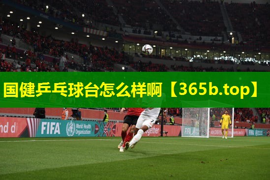 国健乒乓球台怎么样啊 国健乒乓球台怎么样啊
